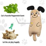 Catnip Plush Toys for Cats and Kittens - 3 Pack