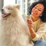 Dog and Cat Grooming Comb for Tangles and Mats