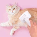 Self-Cleaning Slicker Brush for Cats and Dogs