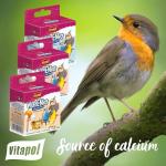 Vitapol Calcium Block for Healthy Beaks & Eggs