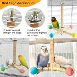 Interactive Wooden Bird Perch and Exercise Toy