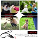 2-in-1 Dog Training Clicker and Whistle