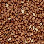 Wild Bird Food Tub with Peanuts, 5L
