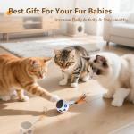 GoldenSun Interactive Cat Toy with Feather Tail