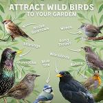 Wild Bird Seed & Grain Mix - 20kg Bag