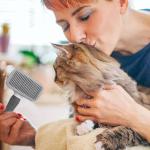 Self-Cleaning Slicker Brush for Dogs and Cats