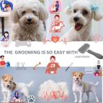 Self-Cleaning Slicker Brush for Dogs and Cats