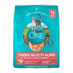 Purina ONE Tender Selects Dry Cat Food, Salmon