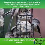 Grumpy Gardener Deluxe Wild Bird Fat Balls