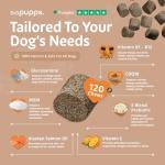 Pupps Dog Skin & Coat Chews - 120 Count