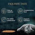 Tuna Fillet Cat Pouches For Easy Feeding