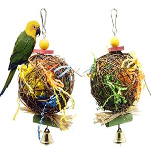 2 Pack Bird Chewing Toys for Parrots and Conures