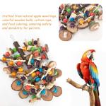 Colorful Chewing Toys for Large Parrots