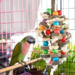 Colorful Chewing Toys for Large Parrots
