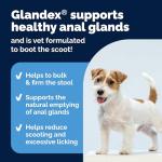 Glandex Dog Chews for Digestive Health - 30ct