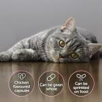 Cystophan Capsules for Cat Urinary Health, 30 Count