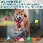 6-Pack Squeaky Rubber Egg Balls for Dogs