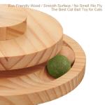 Interactive 2-Layer Cat Food Toy with Ball Track
