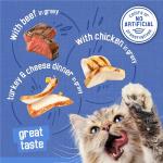 Friskies Gravy Wet Cat Food Variety Pack