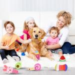 10 Pack Plush Squeaky Toys for Small Dogs