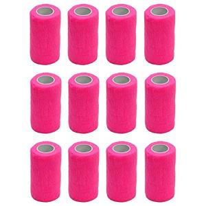 12 Rolls of Adhesive First Aid Bandages