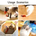 Interactive Cat Ball Toy Set with Fluffy Tail