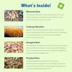Kidney Support Gold for Dogs - Herbal Supplement