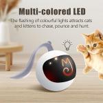 Interactive Cat Ball Toy Set with Fluffy Tail