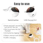 Interactive Cat Ball Toy Set with Fluffy Tail