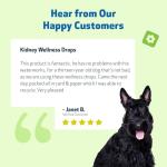 Kidney Support Gold for Dogs - Herbal Supplement