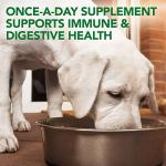 Vet's Best Probiotic Chews for Dog Digestive Health