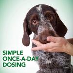Vet's Best Probiotic Chews for Dog Digestive Health