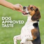 Vet's Best Probiotic Chews for Dog Digestive Health