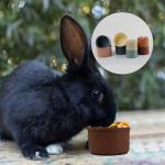 8PCS Rabbit Stacking Cups for Pet Playtime