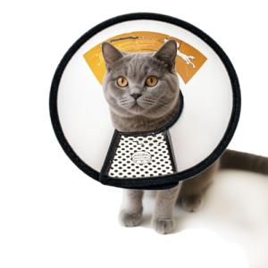 Lightweight Adjustable Cat Recovery Cone Collar