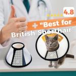 Lightweight Adjustable Cat Recovery Cone Collar