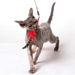 PurrSuit Feather Spinning Cat Toy Wand 100cm