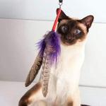 PurrSuit Feather Spinning Cat Toy Wand 100cm