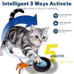 Interactive Cat Toy Ball with Maze Mat