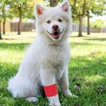 12 Pack Self-Adhesive Bandages for Pets
