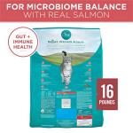 Purina ONE Tender Selects Dry Cat Food, Salmon