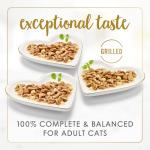 Fancy Feast Cheddar Cat Food Variety Pack 24 Cans