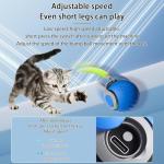 Speedy Tail Motion Toy for Indoor Cats