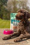 Vet's Kitchen Chicken & Brown Rice Dog Food 3kg