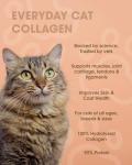 Everyday Collagen Cat Joint Supplements - 75g Powder