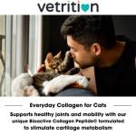 Everyday Collagen Cat Joint Supplements - 75g Powder
