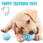 Speedy Panther 6-Piece Puppy Chew Toy Set