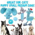 Speedy Panther 6-Piece Puppy Chew Toy Set