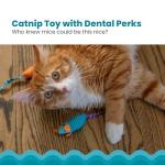 Catnip Chew Mice Dental Toy Set - 2 Pack