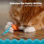 Catnip Chew Mice Dental Toy Set - 2 Pack